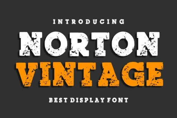 Norton Vintage: A Bold Slab Serif for Authentic Brand Identity